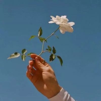 飞鸽云游戏app手机版下载